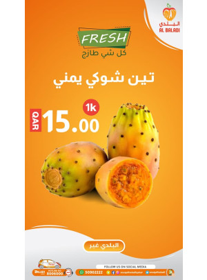 Fresh Offers
