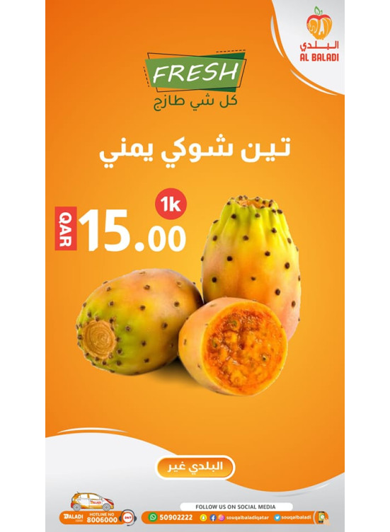 Fresh Offers