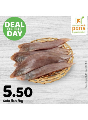 Deal of The Day - Muntazah