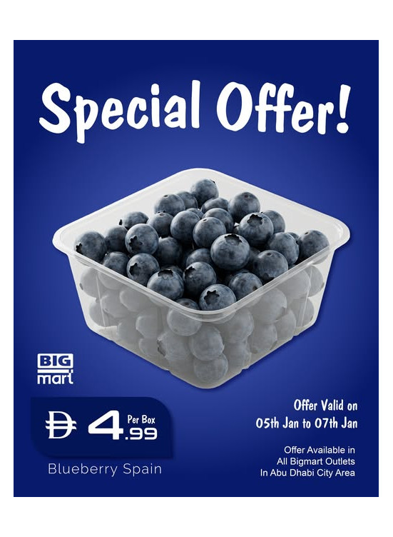 Blueberry Spain Offers