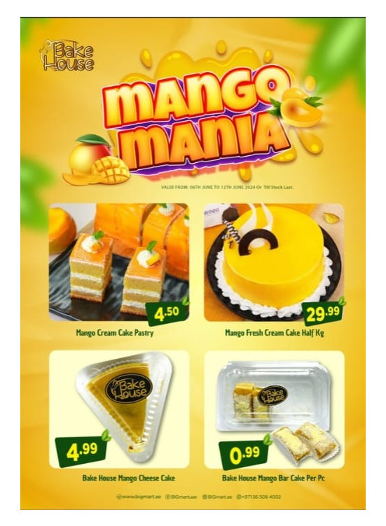 Mango Festival