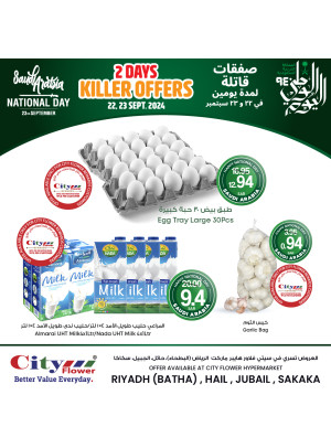 عروض اليوم الوطني السعودي - البطحاء، حائل، الجبيل وسكاكا