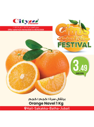 Citrus Festival