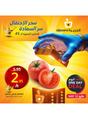 عروض الاحتفال بالذكرى السنوية ال 47