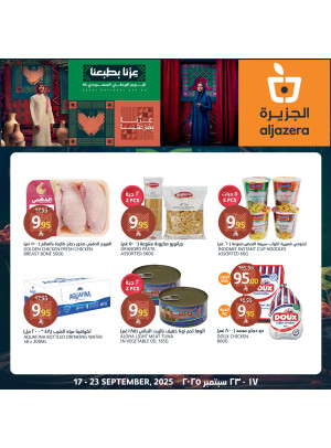 عروض اليوم الوطني الـ ٩٥