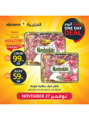 صفقة اليوم الواحد