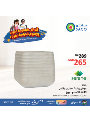 عروض العودة إلى المدرسة، العدد الواحد والعشرون