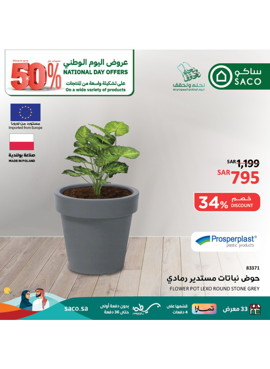 عروض اليوم الوطني، العدد الثمانون