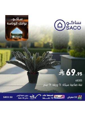 Your Gateway to Fun Deals