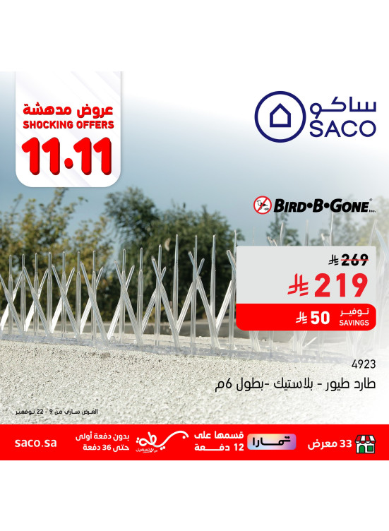 عروض 11.11 المدهشة، العدد الخامس عشر