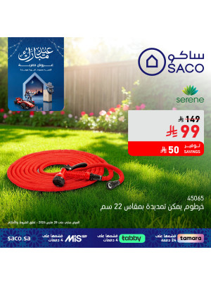 عروض عيد مبارك، العدد التاسع والعشرون