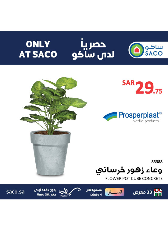 Exclusive Products Deals, Vol 8