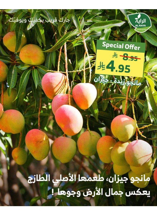 صفقة طازجة