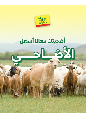 أضحية العيد - جدة ومكة