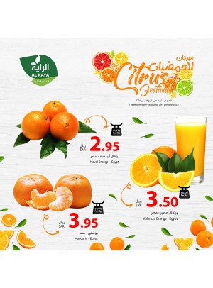 مهرجان الحمضيات