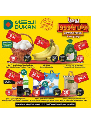 Lowest Price Everyday Deal