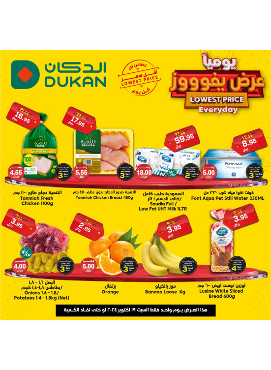 Lowest Price Everyday Deal
