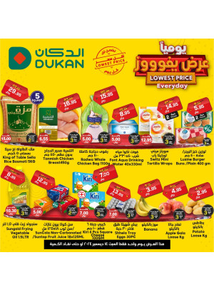 Lowest Price Everyday Deal