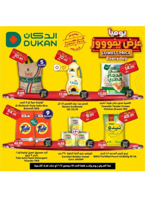 Lowest Price Everyday Deal
