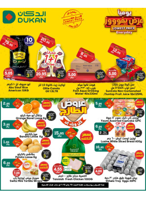 Lowest Price Everyday Deal