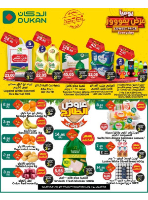 Lowest Price Everyday Deal