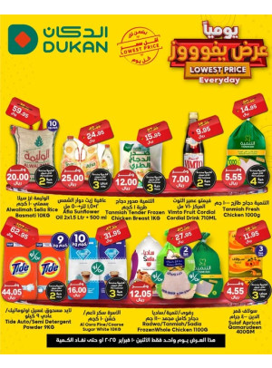 Lowest Price Everyday Deal
