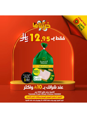 عروض الصيف، العدد الحادي عشر