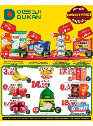 Lowest Price Everyday Deal