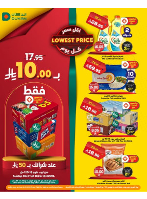 Lowest Price Everyday Deal