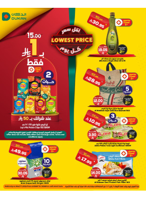 Lowest Price Everyday Deal