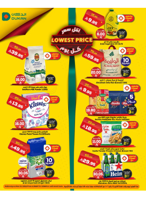 Lowest Price Everyday Deal