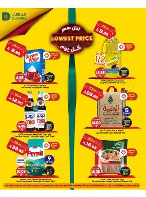 Lowest Price Everyday Deal