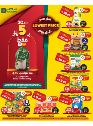 Lowest Price Everyday Deal