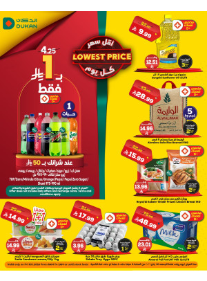 Lowest Price Everyday Deal