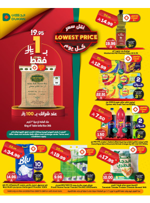 Lowest Price Everyday Deal