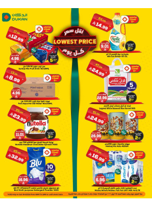 Lowest Price Everyday Deal