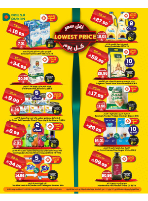 Lowest Price Everyday Deal