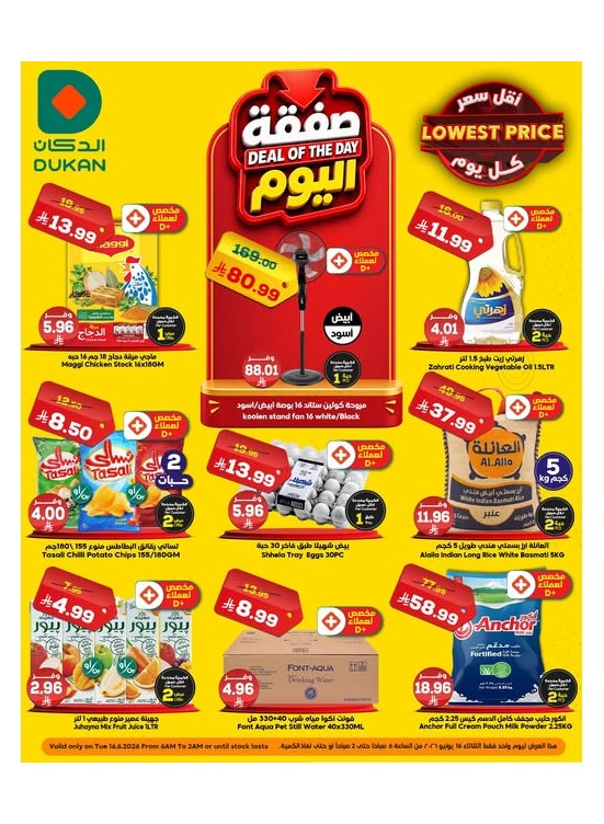 Deal of the Day
