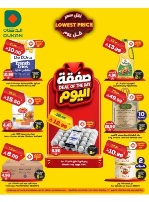 Deal of the Day