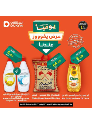 Lowest Price Everyday Deal