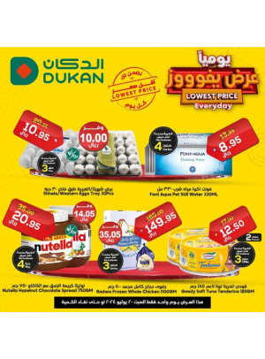 Lowest Price Everyday Deal