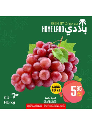 عروض خيرات بلادى، العدد الرابع