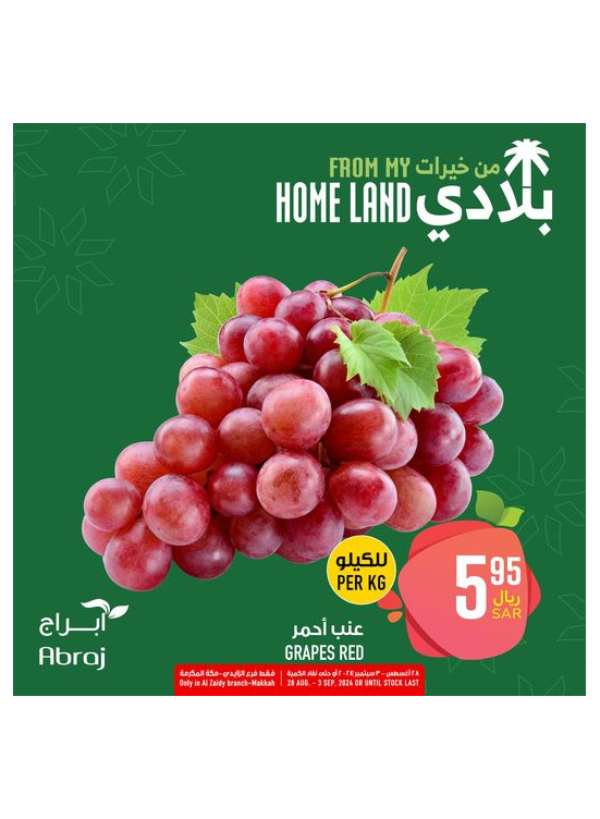 عروض خيرات بلادى، العدد الرابع