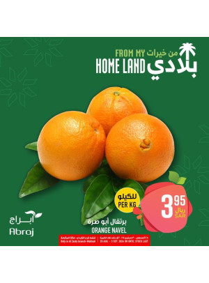 عروض خيرات بلادى، العدد الثاني عشر