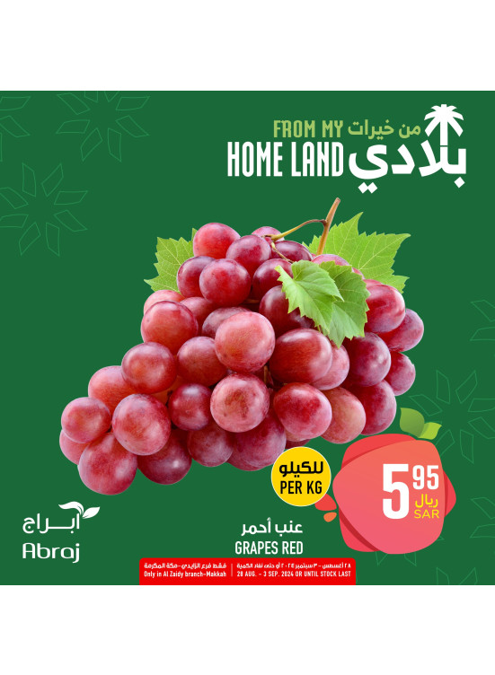 My Home Land Offers, Vol 21