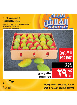تخفيضات الفلاش
