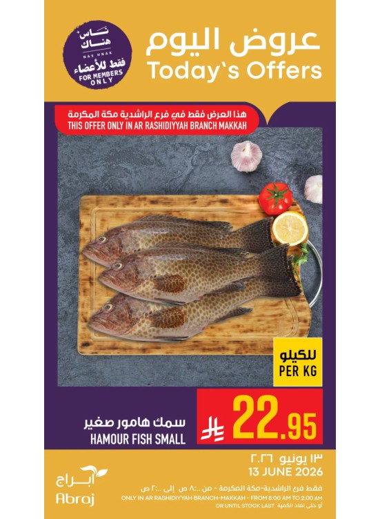 عروض اليوم - الراشدية
