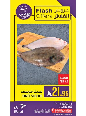 عروض الفلاش - الزايدي