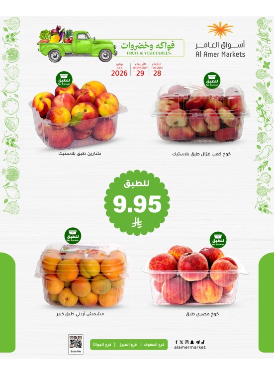 Summer Offers
