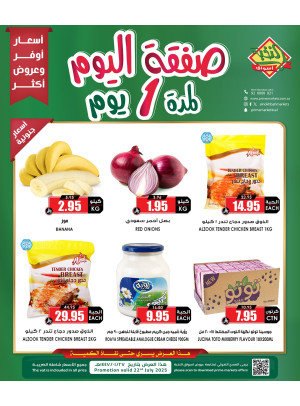 عرض اليوم الواحد